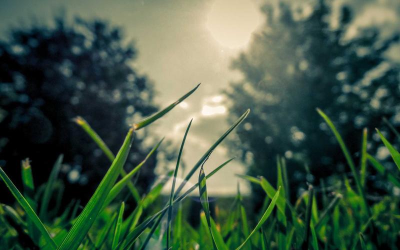 Why Choose Demo Courier for Your Business